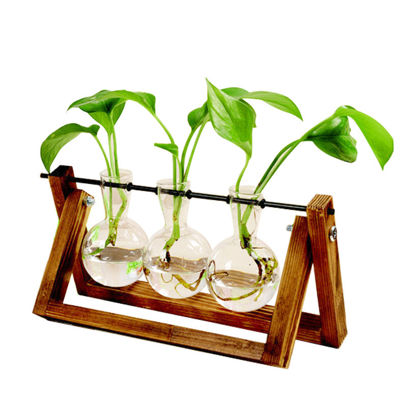 Swing Wood-Stand Glass Propagation Vase