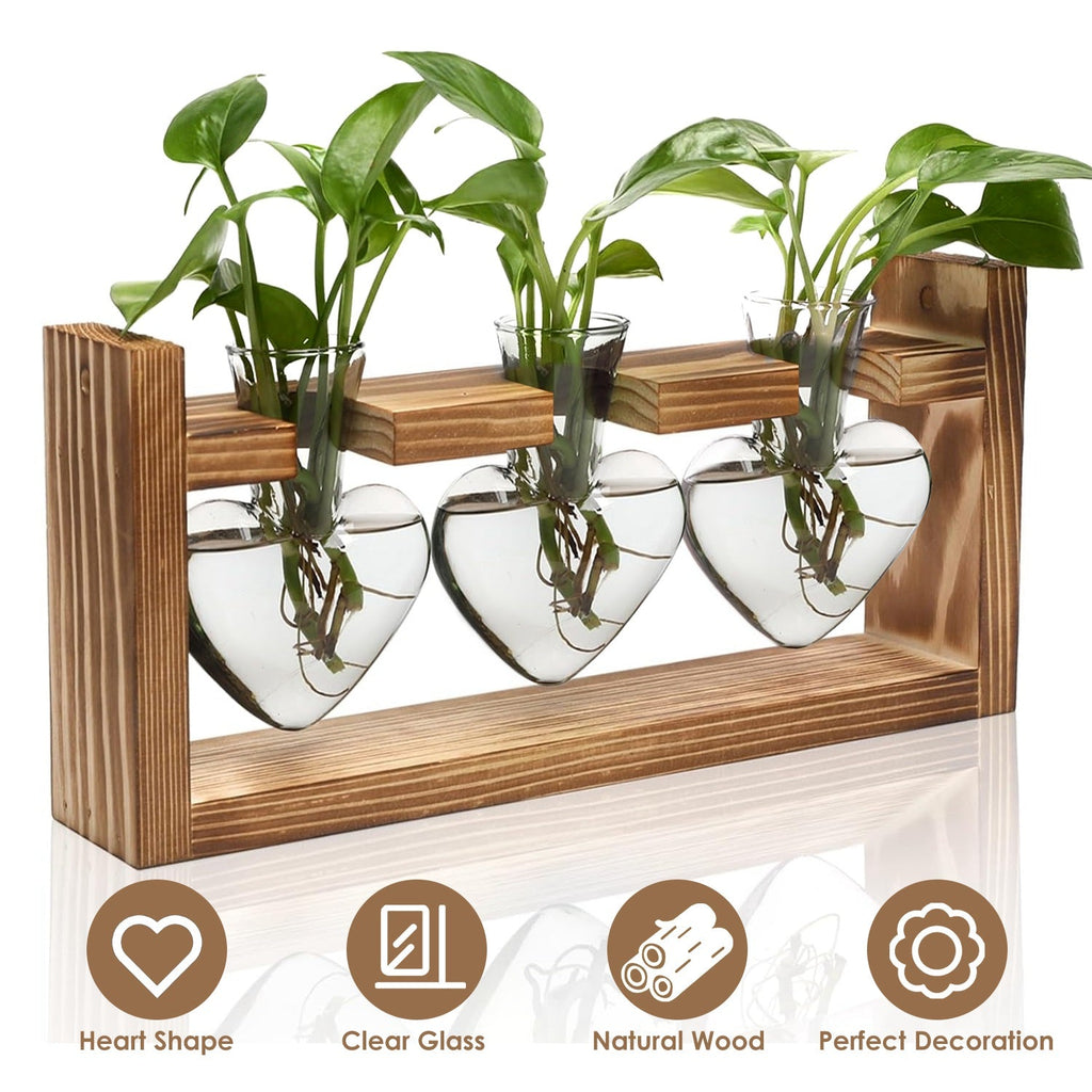 Plant Terrarium Propagation Station with 3 Heart Shaped Vases Wooden Stand Desktop