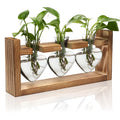 Plant Terrarium Propagation Station with 3 Heart Shaped Vases Wooden Stand Desktop