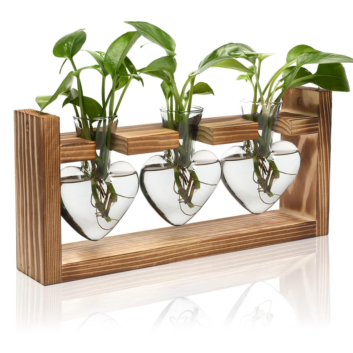 Plant Terrarium Propagation Station with 3 Heart Shaped Vases Wooden Stand Desktop
