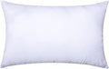 Decorative Pillow Insert