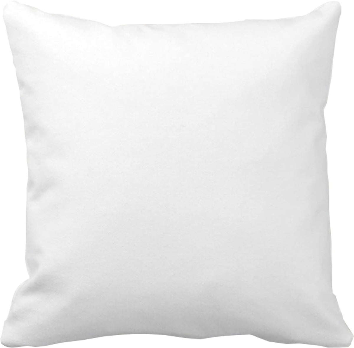 Ravioli Lover 18x18 Inch Funny Throw Pillow Cover, Foodie Food Decorative Cushion Case, Home Kitchen Room Decor Chef Baker Hostess Mom Wife Sister Her Kid Boy Girl Pet Gift Novelty Pillowcase