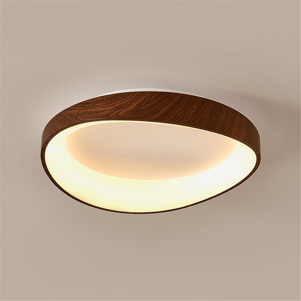 Nordic Contemporary Ceiling Lamp LED Fashion Art Living Room Bedroom Restaurant