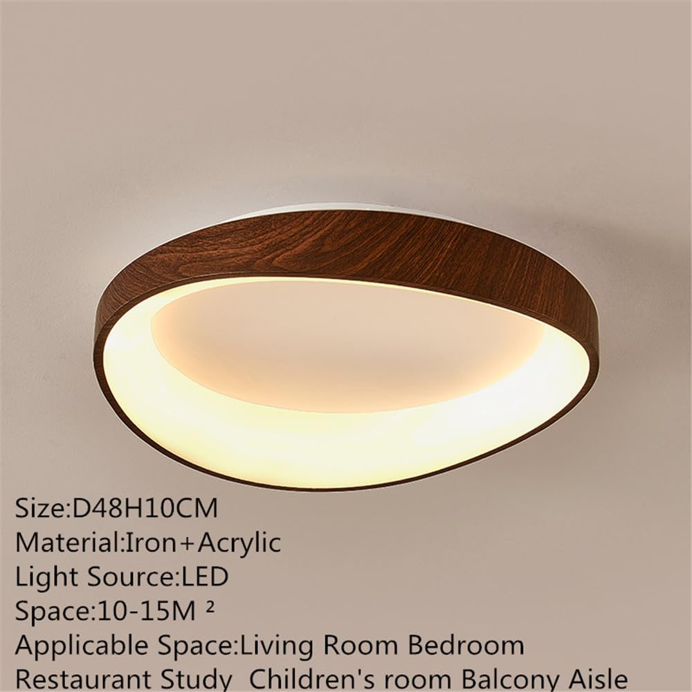 Nordic Contemporary Ceiling Lamp LED Fashion Art Living Room Bedroom Restaurant