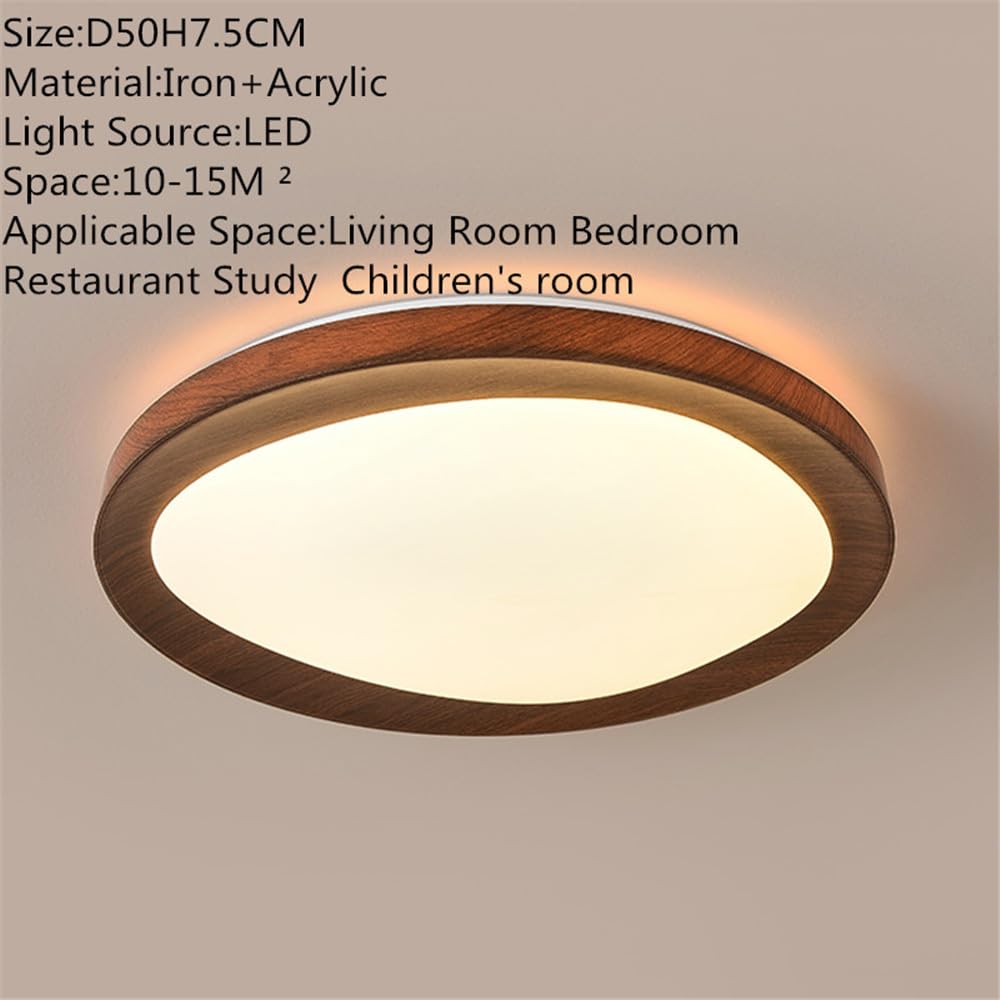 Nordic Contemporary Ceiling Lamp LED Fashion Art Living Room Bedroom Restaurant