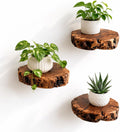 Handmade Jujube Wood Floating Shelves – Set of 3