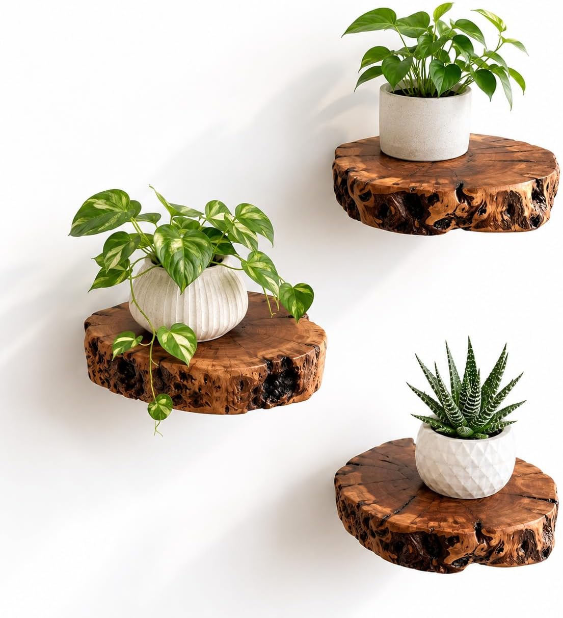 Handmade Jujube Wood Floating Shelves – Set of 3