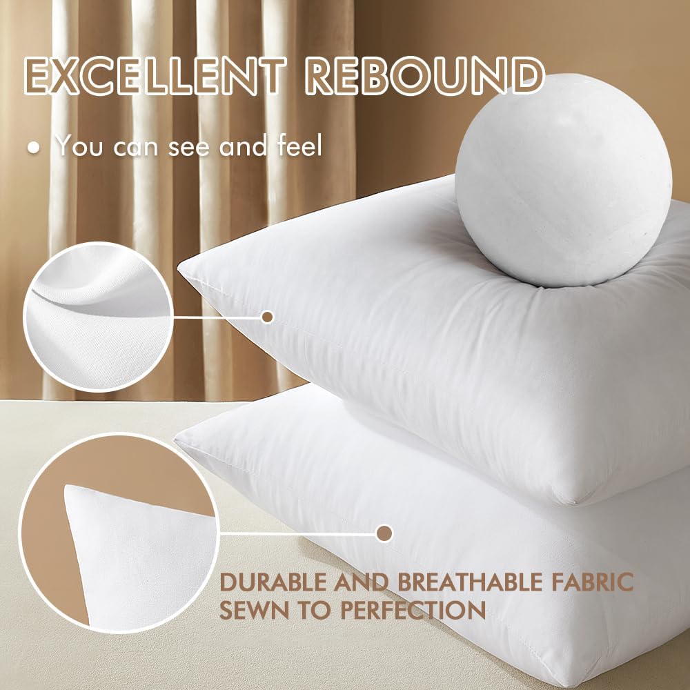 Decorative Pillow Insert