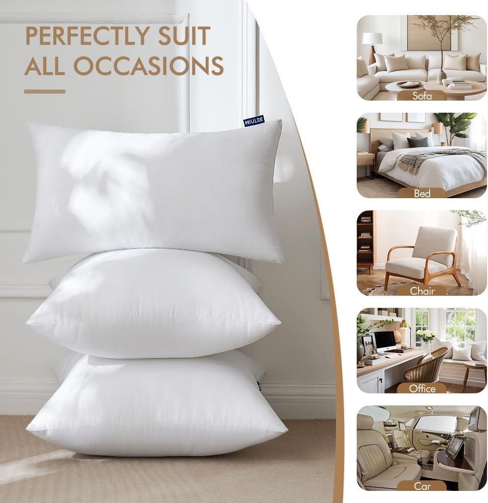 Decorative Pillow Insert