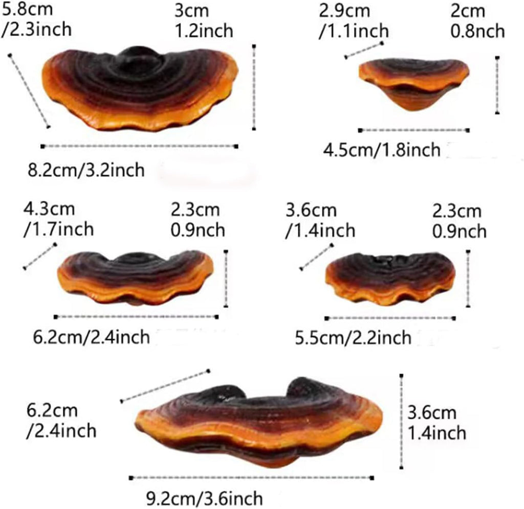 Mushroom Floating Wall Shelves – Set of 5
