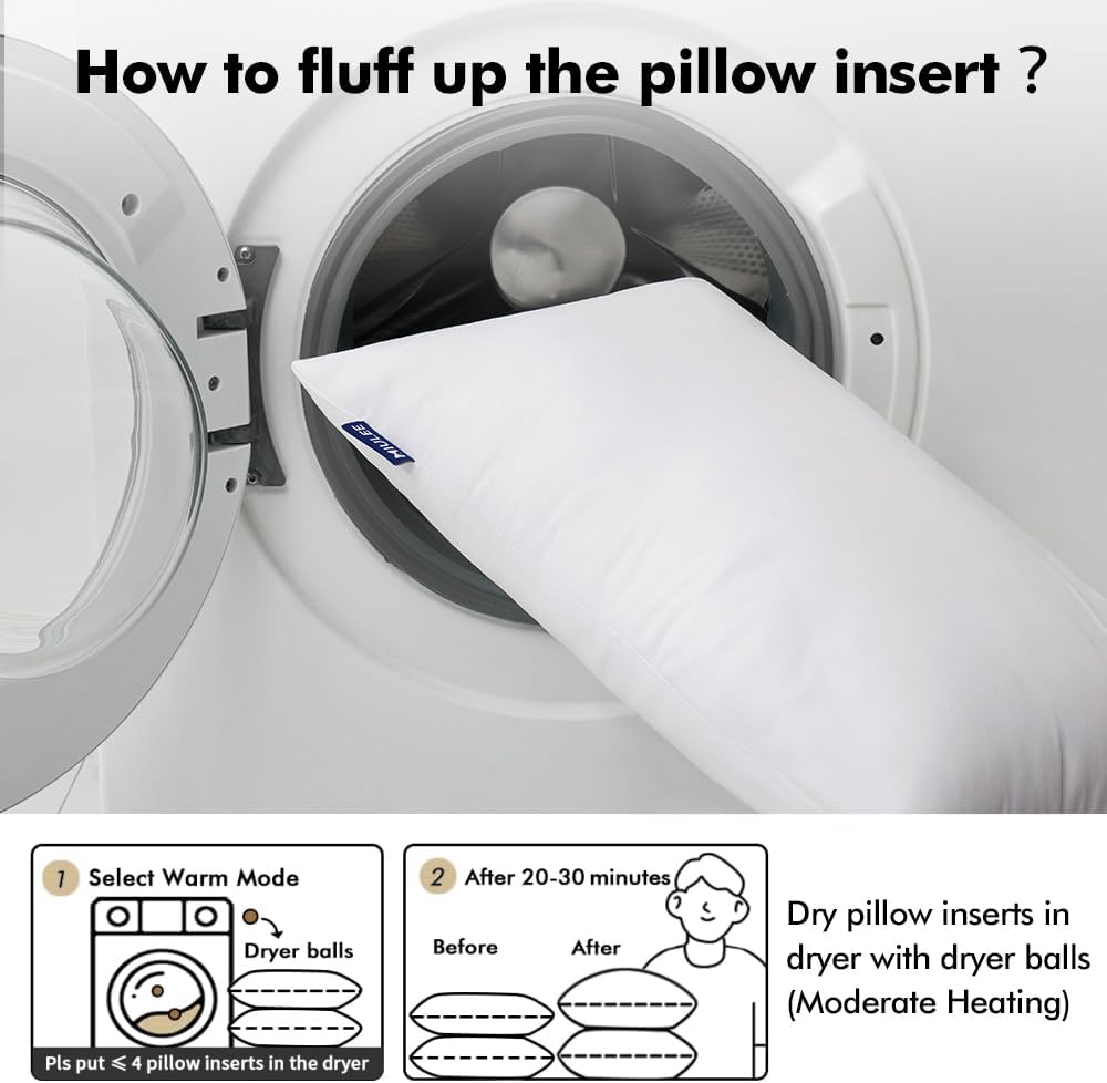Decorative Pillow Insert