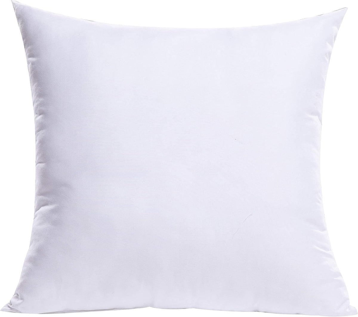 Decorative Pillow Insert