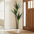 Pre-Potted Artificial Tropical Agave Plant-5ft3in, UV Resistant Fake Tree