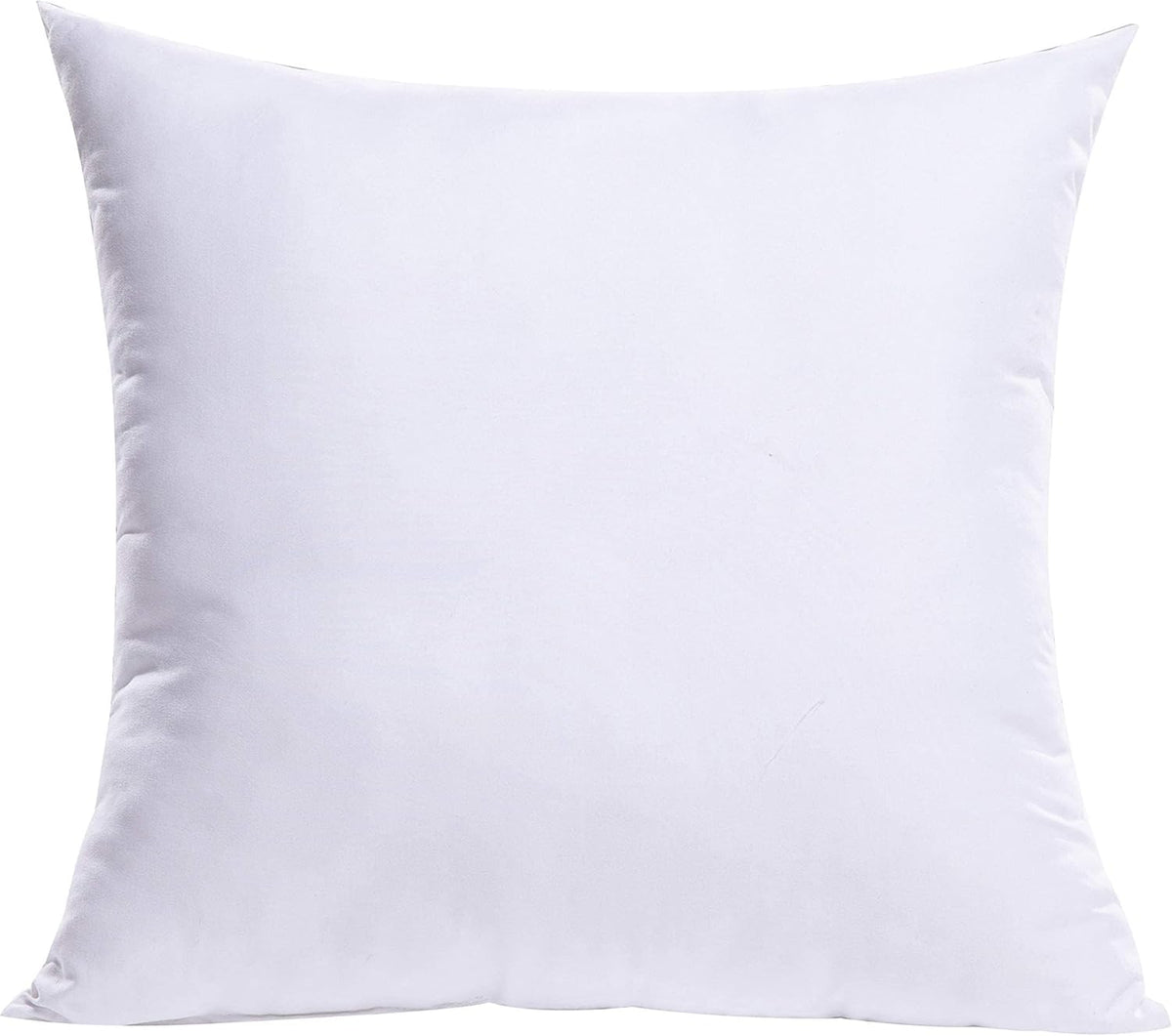 Decorative Pillow Insert