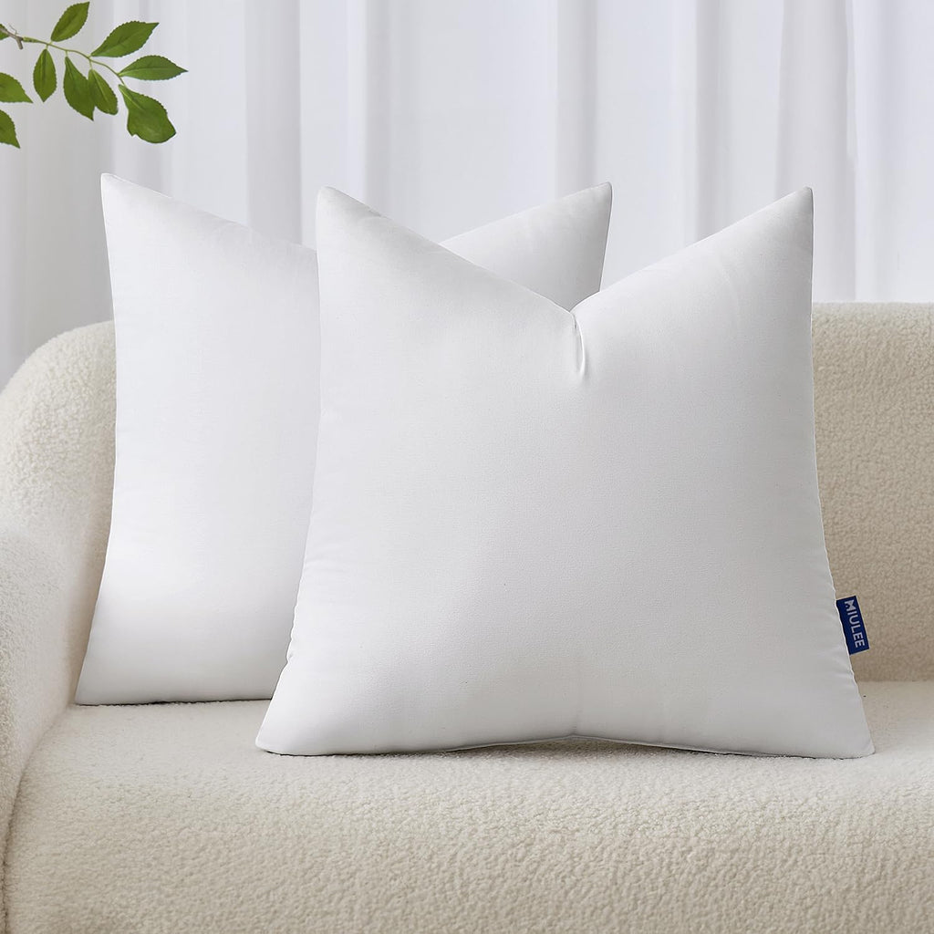 Decorative Pillow Insert