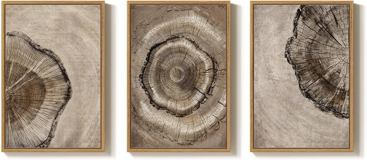 Framed Neutral Tree Ring Wall Art
