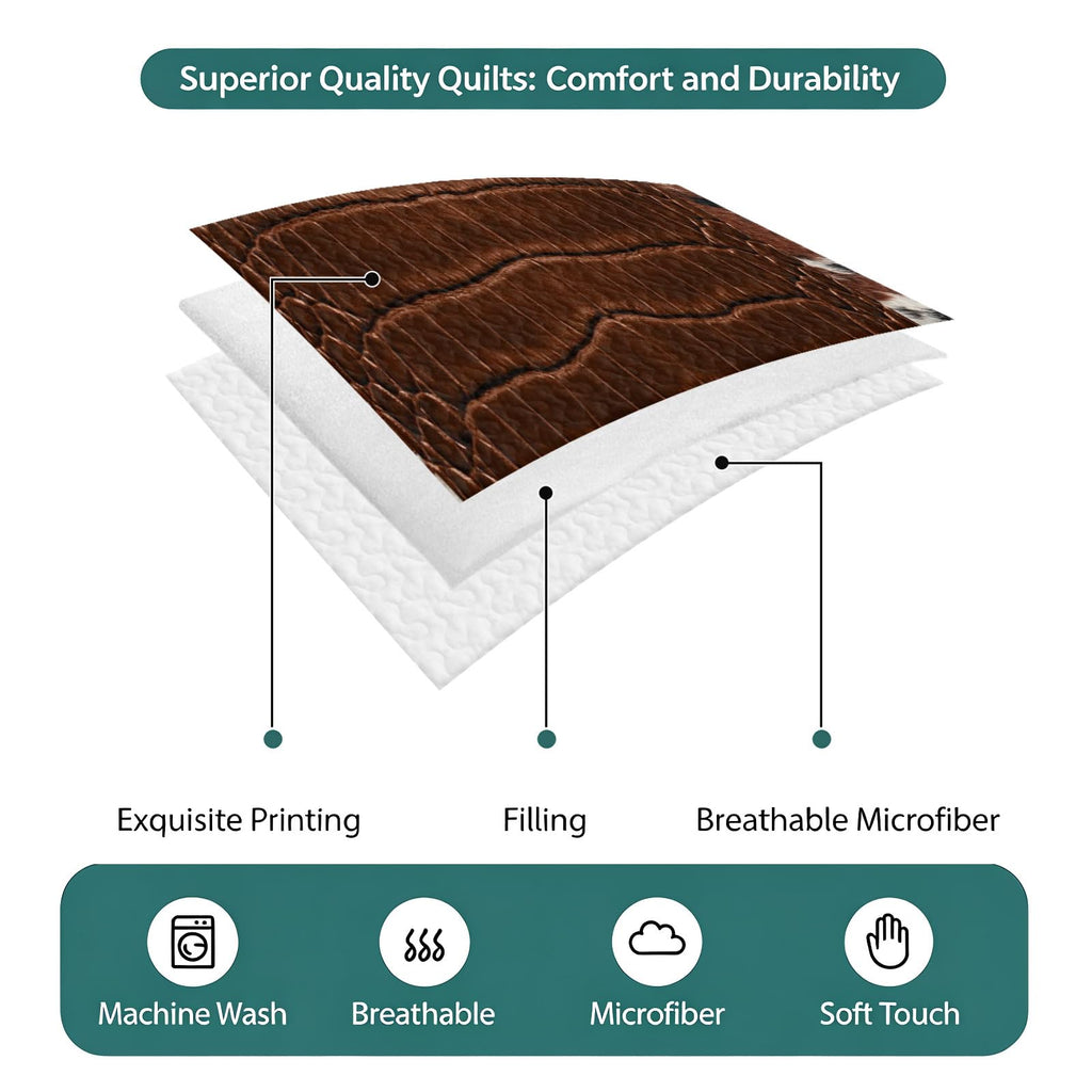 Quilts Queen Size Bedding Set