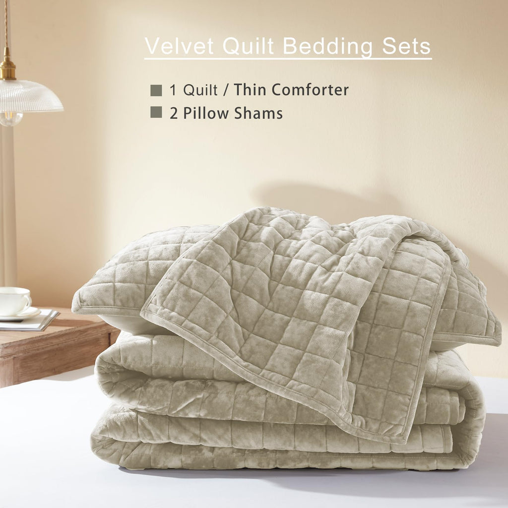 LEAONME Velvet Quilt King Size-98''x106''