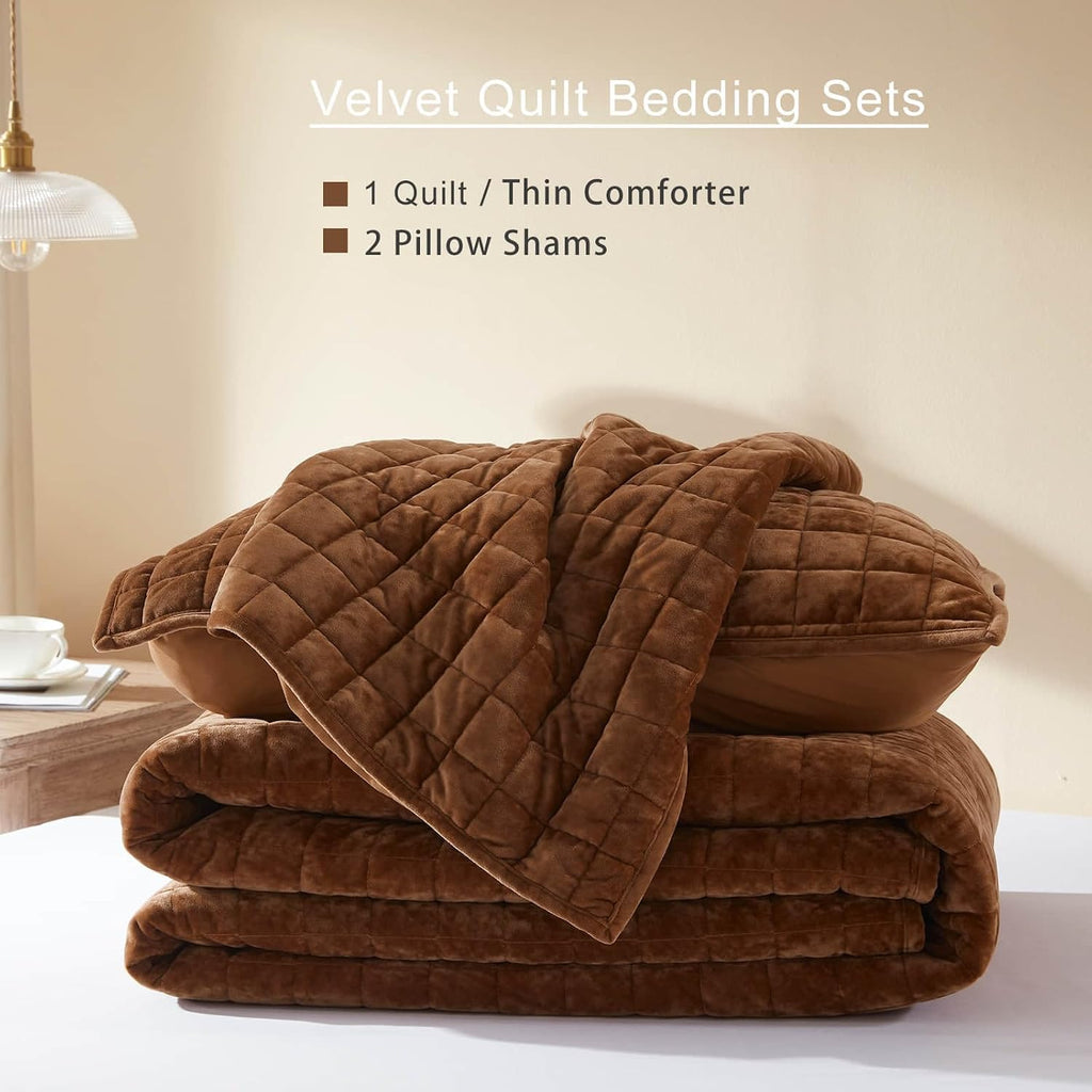 LEAONME Velvet Quilt King Size-98''x106''