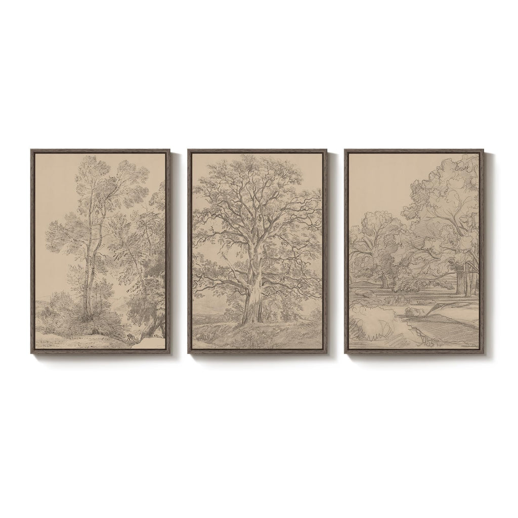 Framed Neutral Tree Ring Wall Art