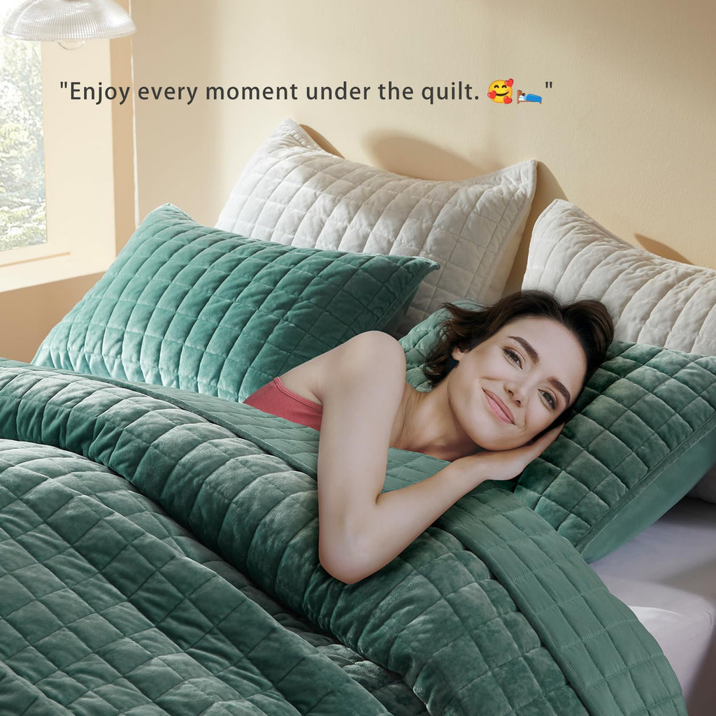 LEAONME Velvet Quilt King Size-98''x106''