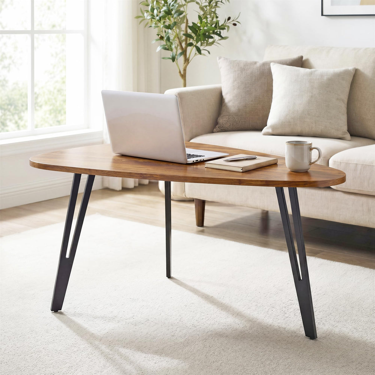 Triangle Coffee Table with Storage Shelf