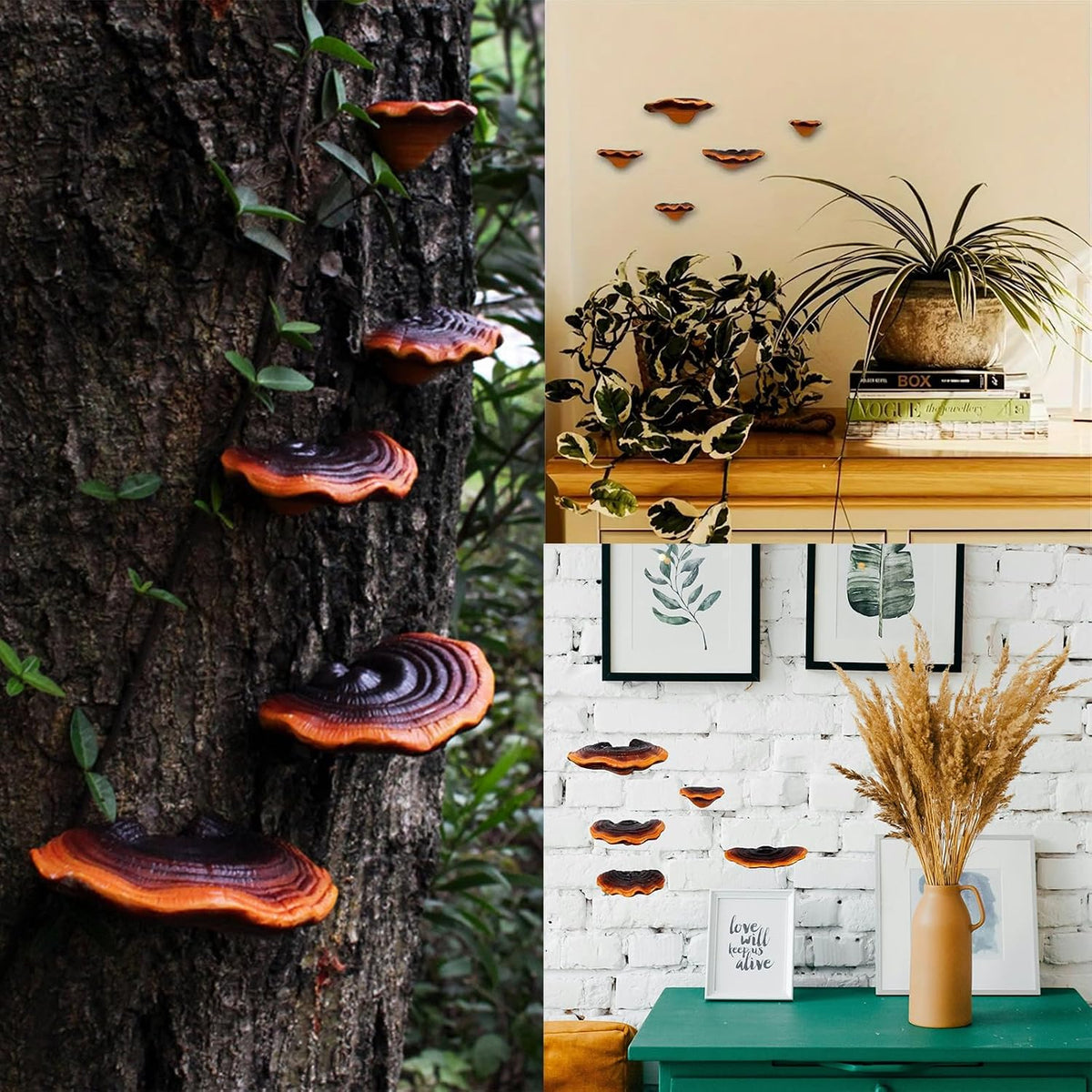 Mushroom Floating Wall Shelves – Set of 5