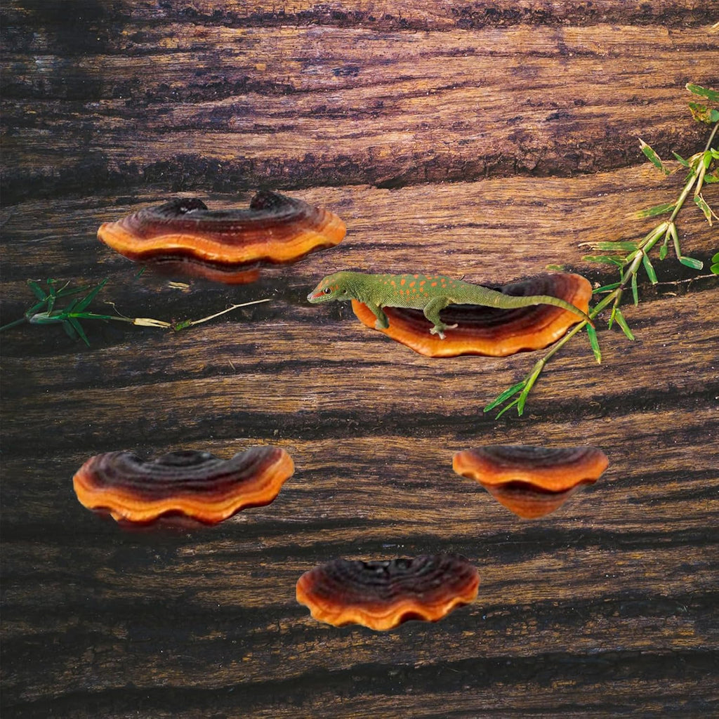 Mushroom Floating Wall Shelves – Set of 5