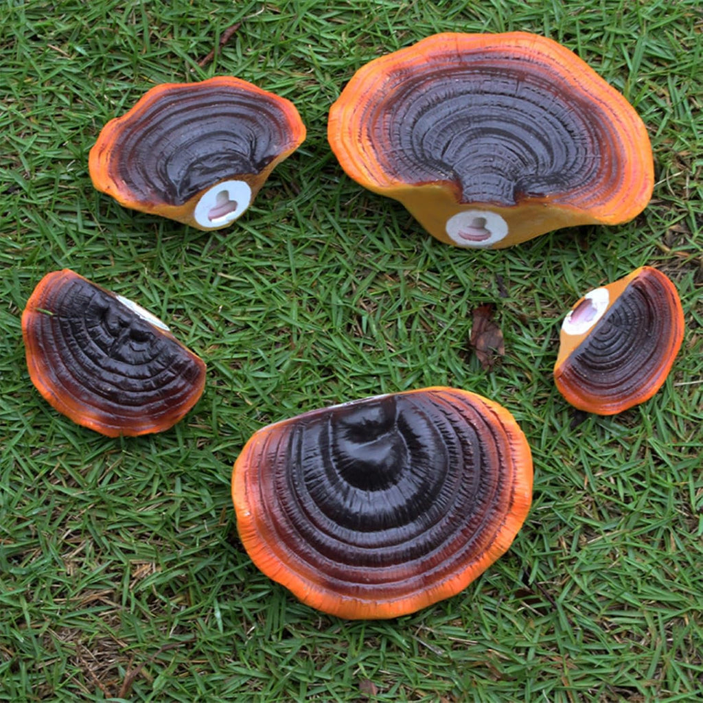 Mushroom Floating Wall Shelves – Set of 5