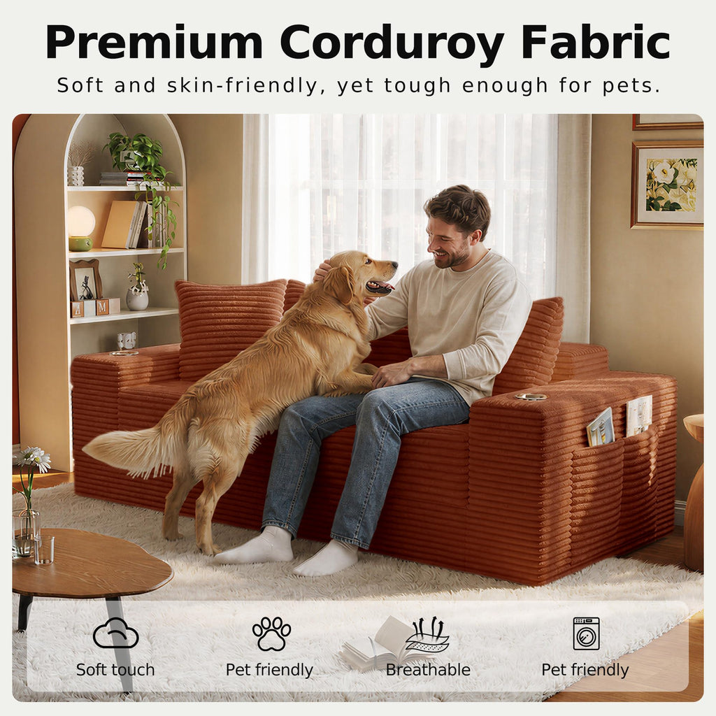 78.8'' Futon Sofa Bed, Boneless Couches for Living Room