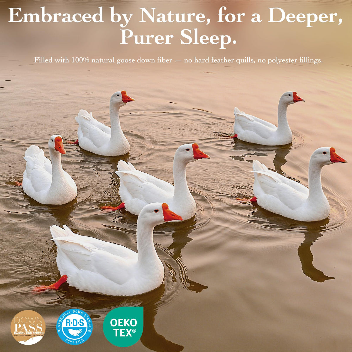 Goose Down Fiber Comforter Queen Size – All Season Naturally Breathable Down