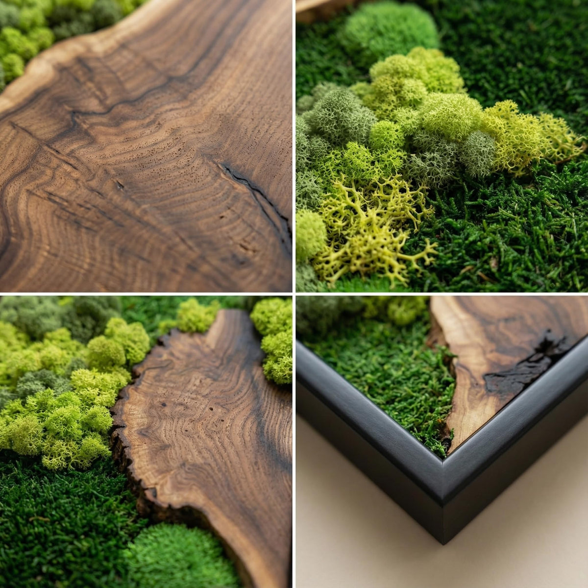 Preserved Moss Wall Art in Cedar Frame