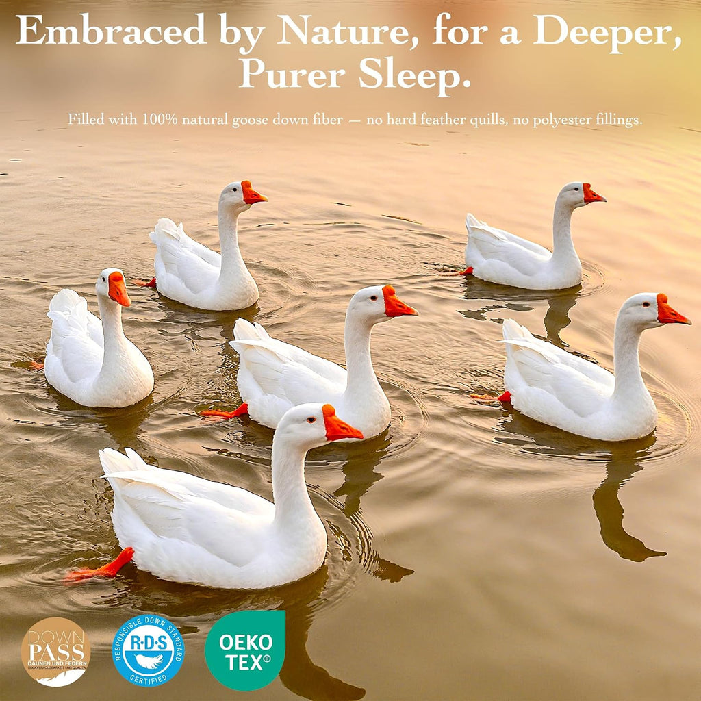 Goose Down Fiber Comforter Queen Size – All Season Naturally Breathable Down