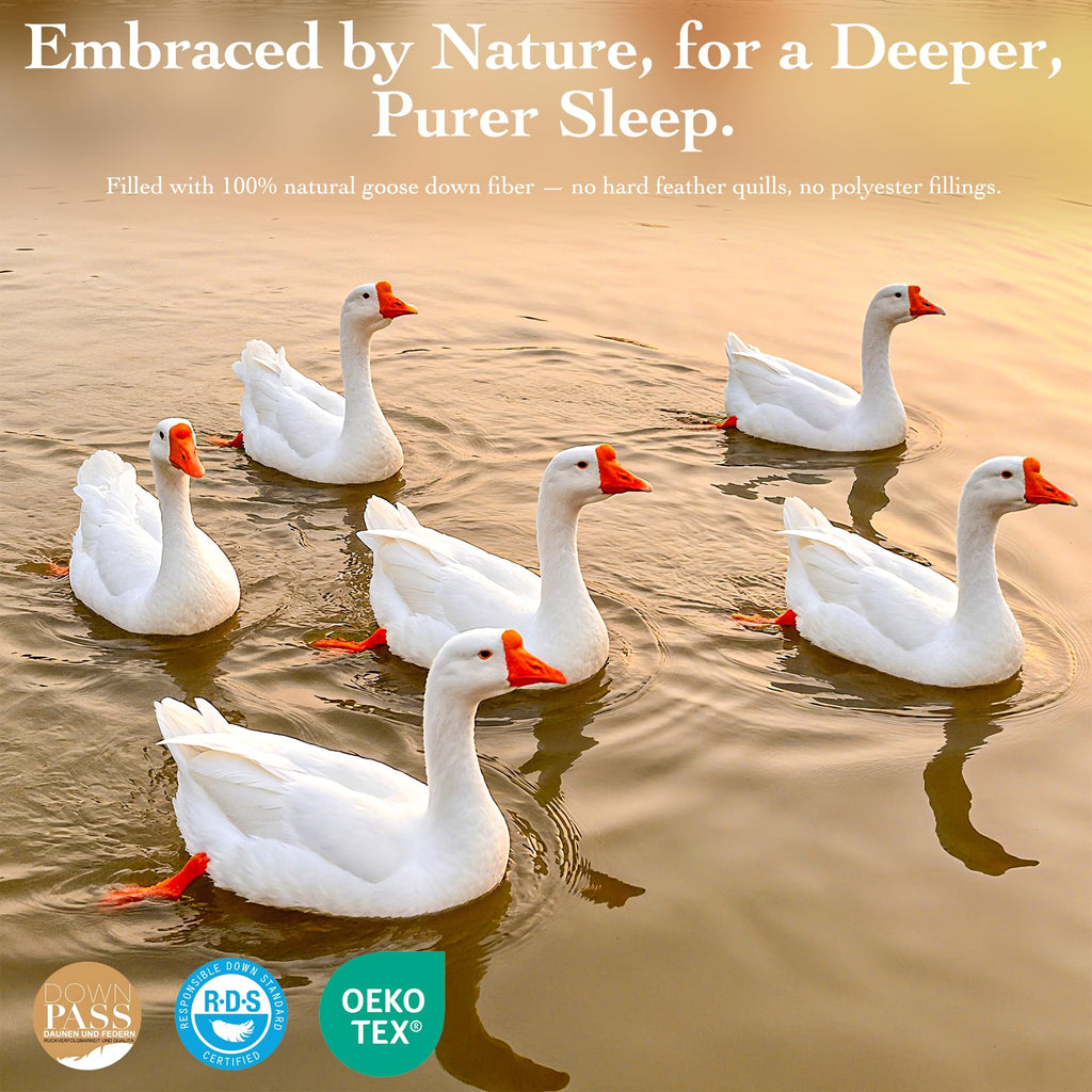 Goose Down Fiber Comforter Queen Size – All Season Naturally Breathable Down
