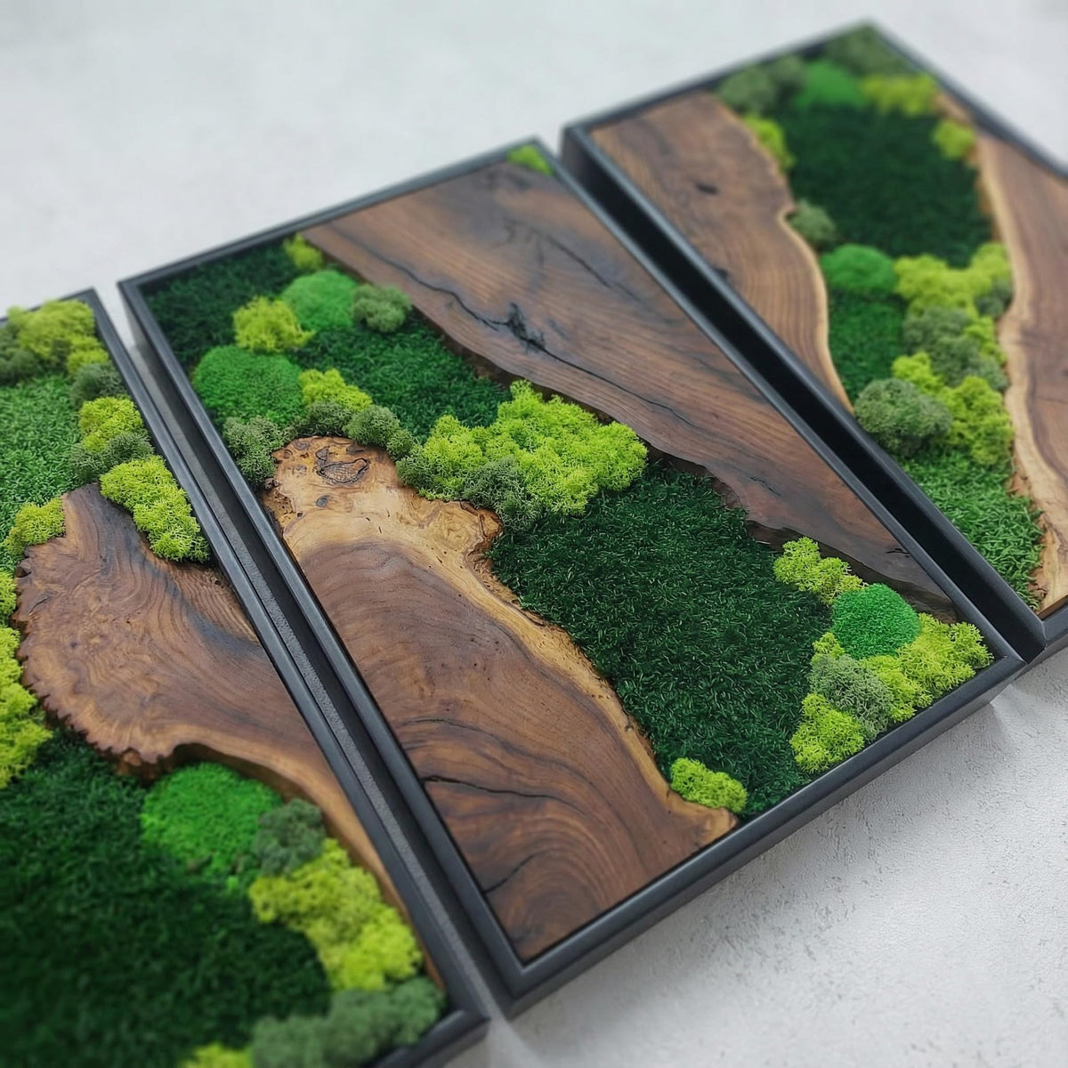 Preserved Moss Wall Art in Cedar Frame