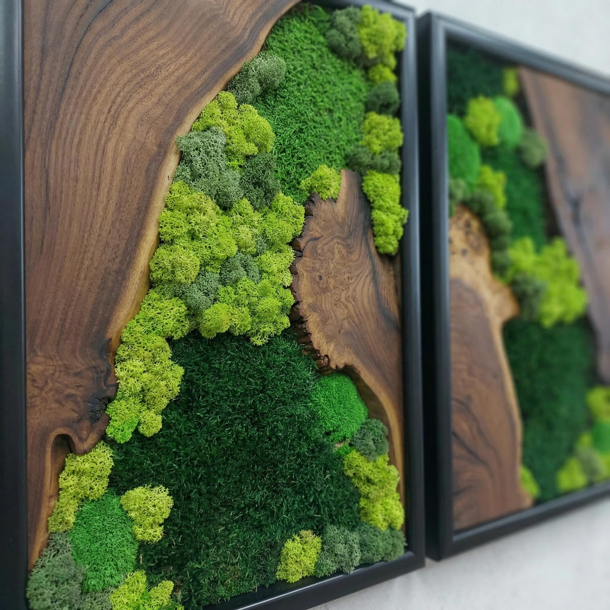 Preserved Moss Wall Art in Cedar Frame
