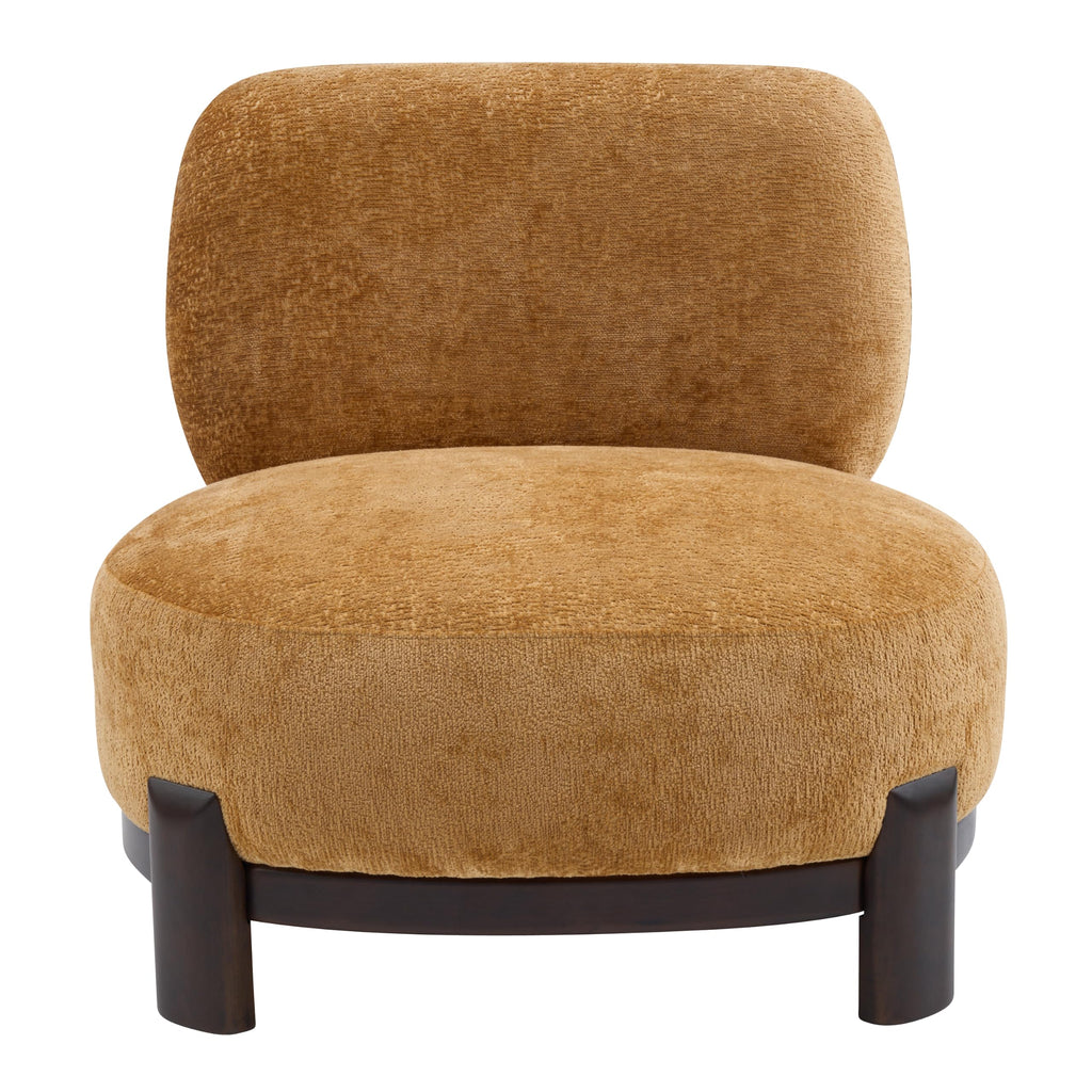 Christopher Knight Home Roxanne Low Profile Modern Accent Chair Set of 2