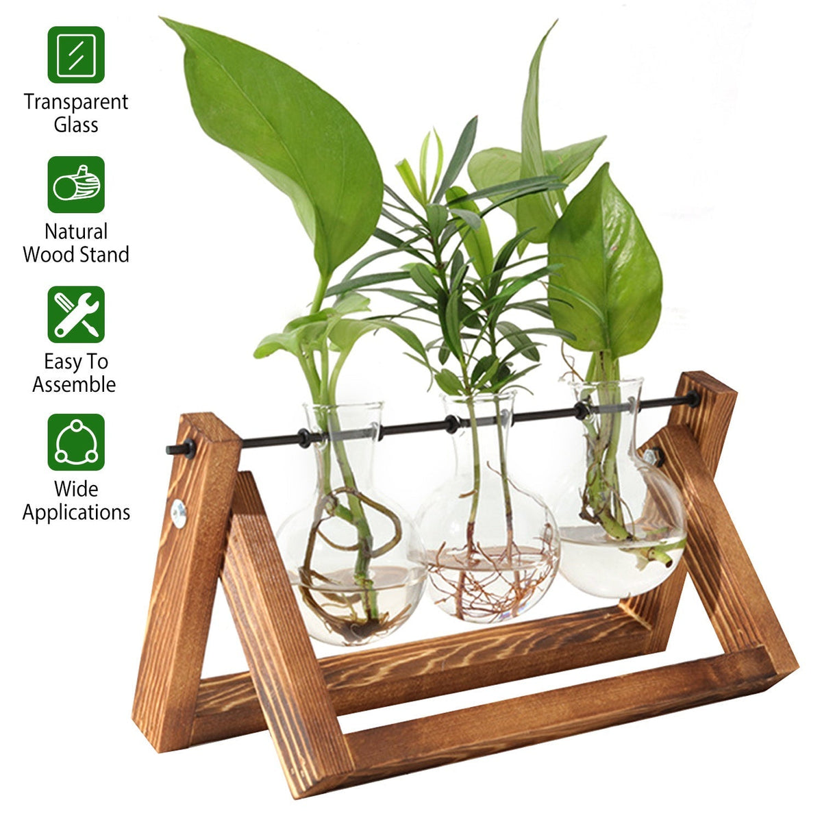Desktop Glass Propagation Planter with Wooden Stand