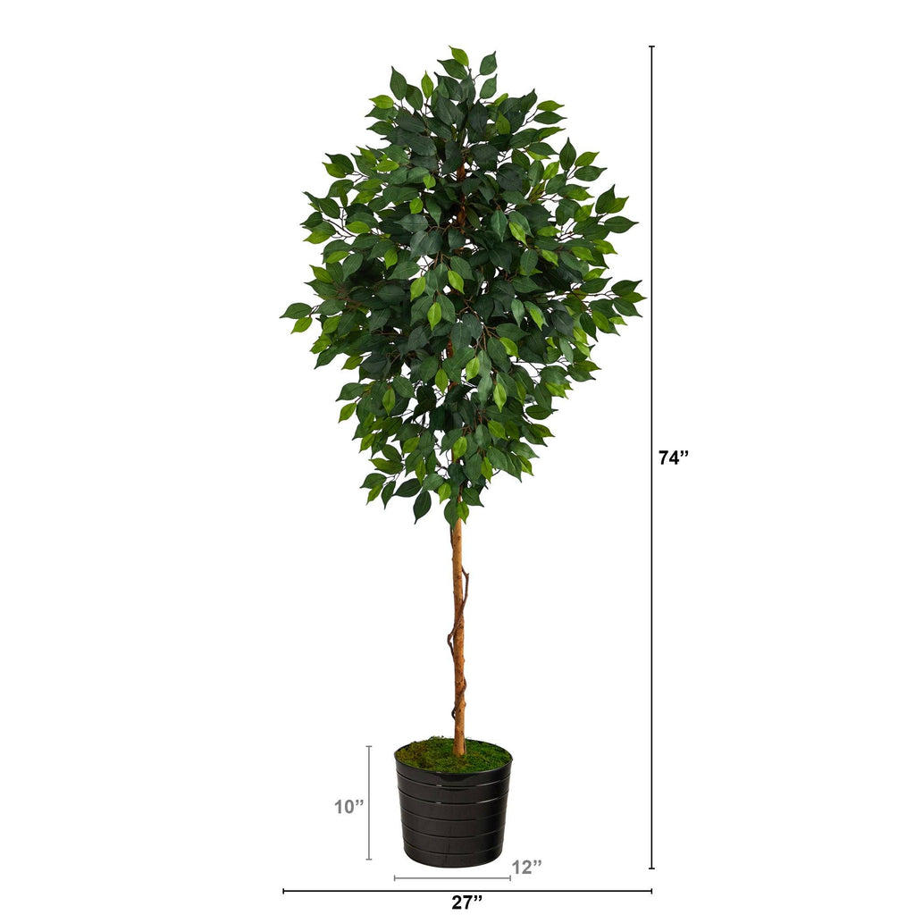 74-Inch Faux Ficus Tree in Black Planter