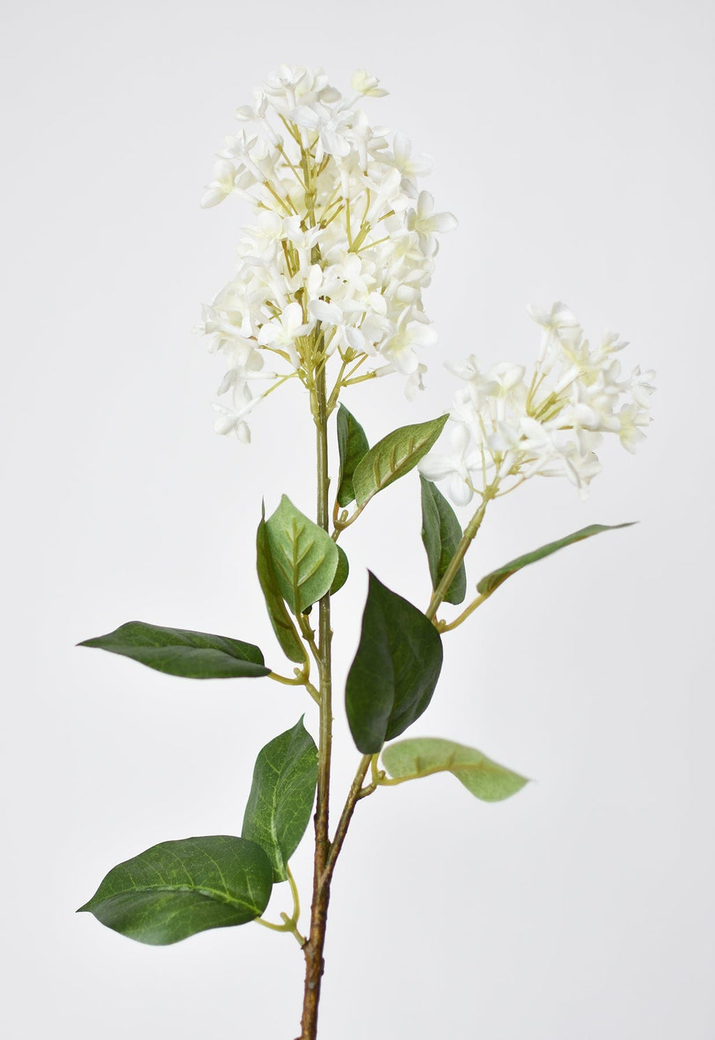 28.5" Faux White English Lilac Stem