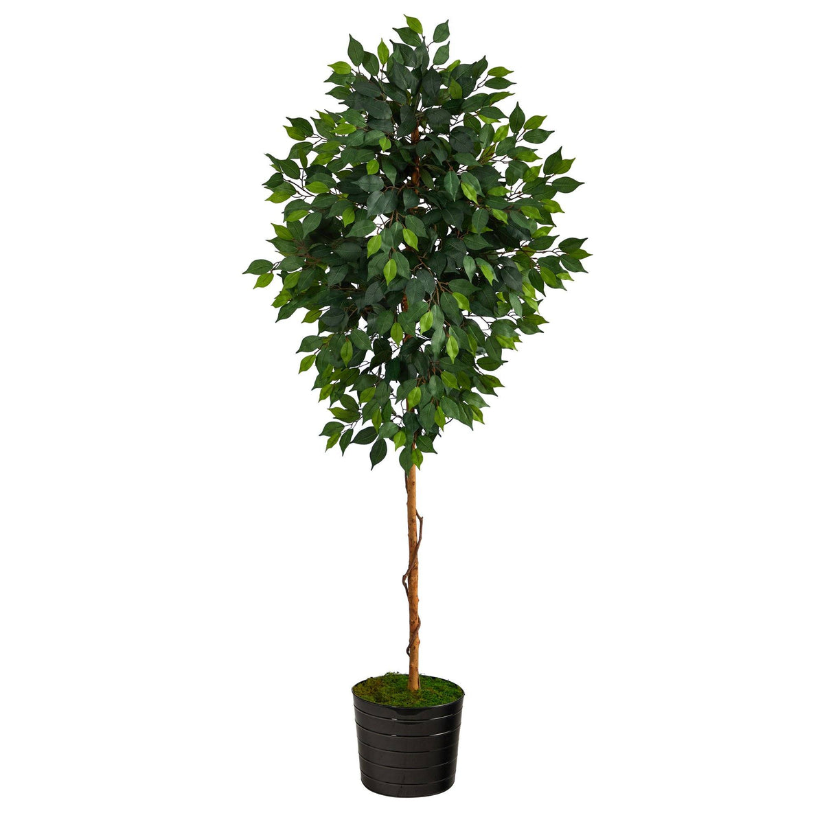 74-Inch Faux Ficus Tree in Black Planter