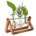 Desktop Glass Propagation Planter with Wooden Stand