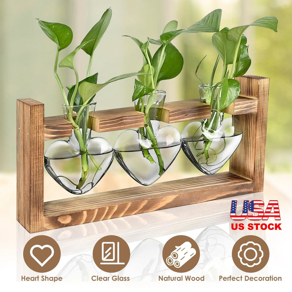 Plant Terrarium Propagation Station with 3 Heart Shaped Vases Wooden Stand Desktop