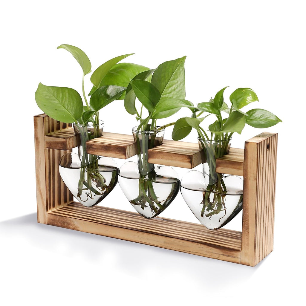 Plant Terrarium Propagation Station with 3 Heart Shaped Vases Wooden Stand Desktop