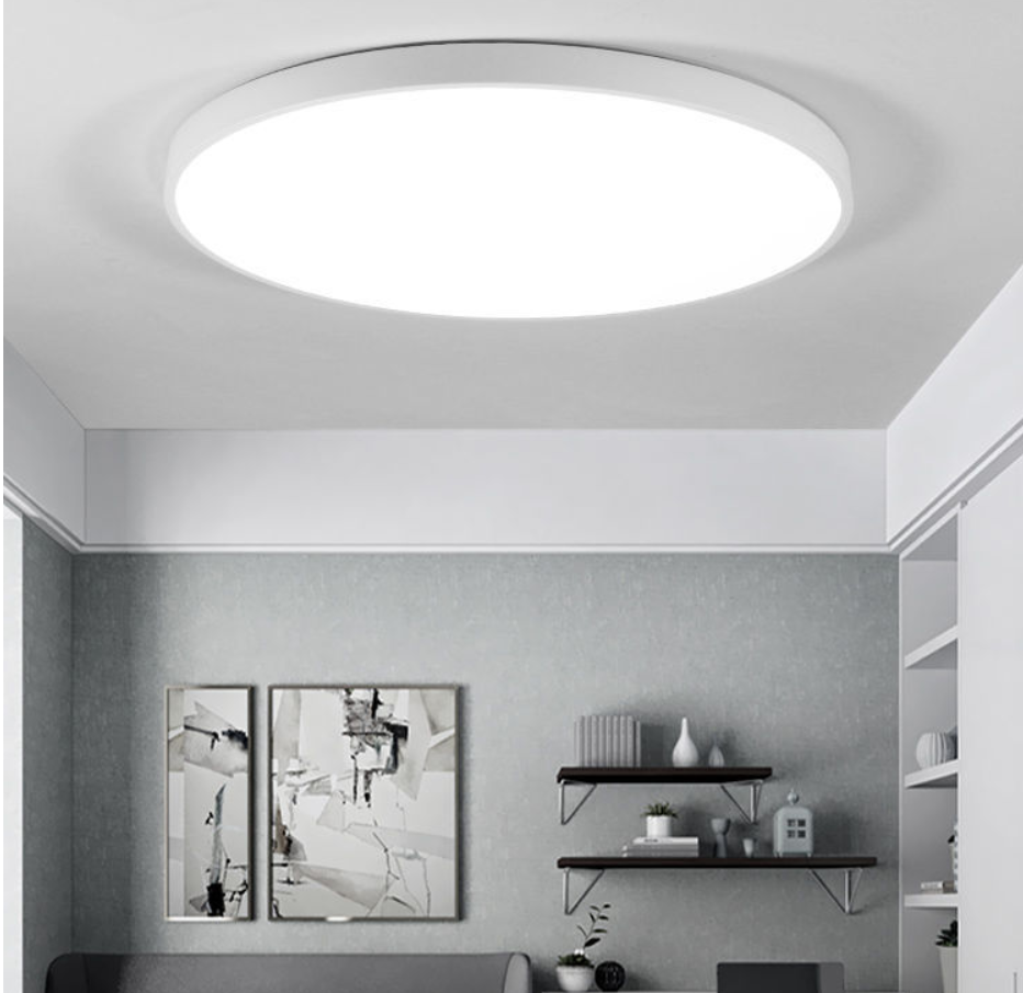 Ceiling Light Fixture for Bedroom and Living Room