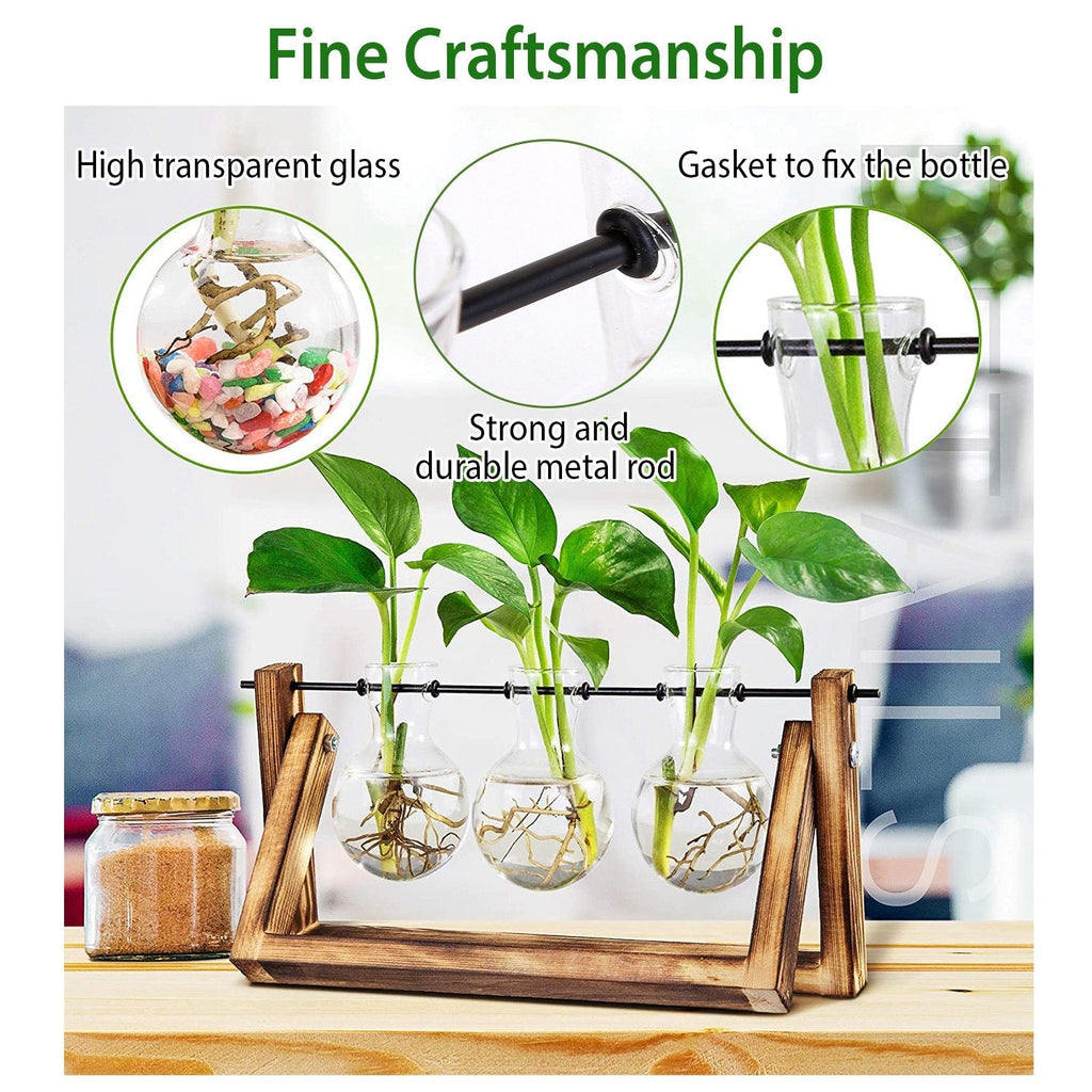 Desktop Glass Propagation Planter with Wooden Stand