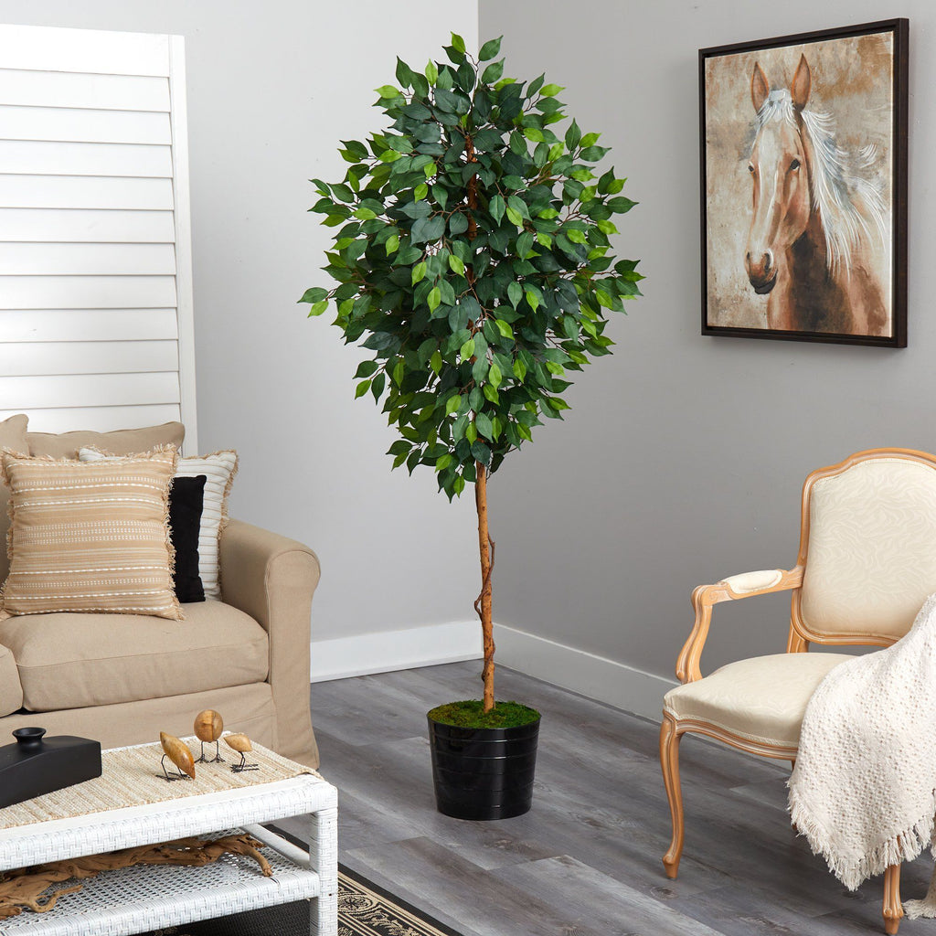 74-Inch Faux Ficus Tree in Black Planter