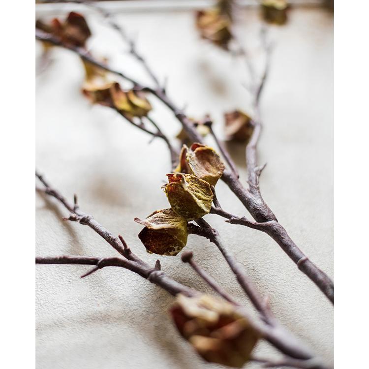 35.4-Inch Faux Silk Hibiscus Stem