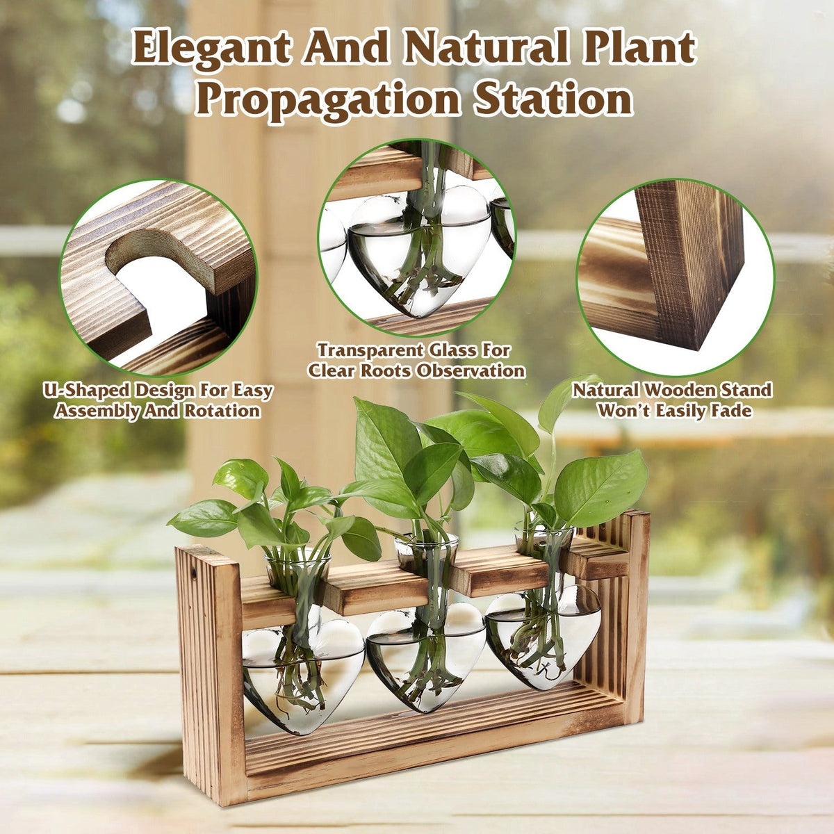Plant Terrarium Propagation Station with 3 Heart Shaped Vases Wooden Stand Desktop