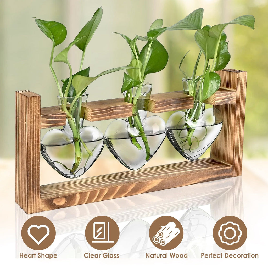 Plant Terrarium Propagation Station with 3 Heart Shaped Vases Wooden Stand Desktop